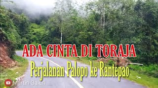 Video thumbnail of "ADA CINTA DI TORAJA | Perjalanan dari Palopo ke Toraja melewati Jembatan Darurat  di Puncak"
