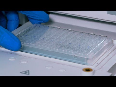 How to Set Up a hPSC Genetic Analysis Kit Experiment