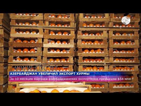 Азербайджан увеличил экспорт хурмы