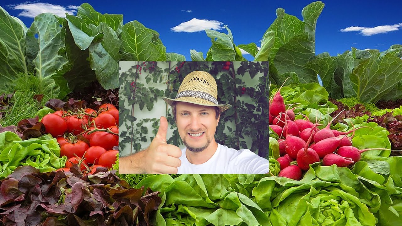 Mein Selbstversorger Garten - Los gehts - Tag 1 Teil 1/3 Doku