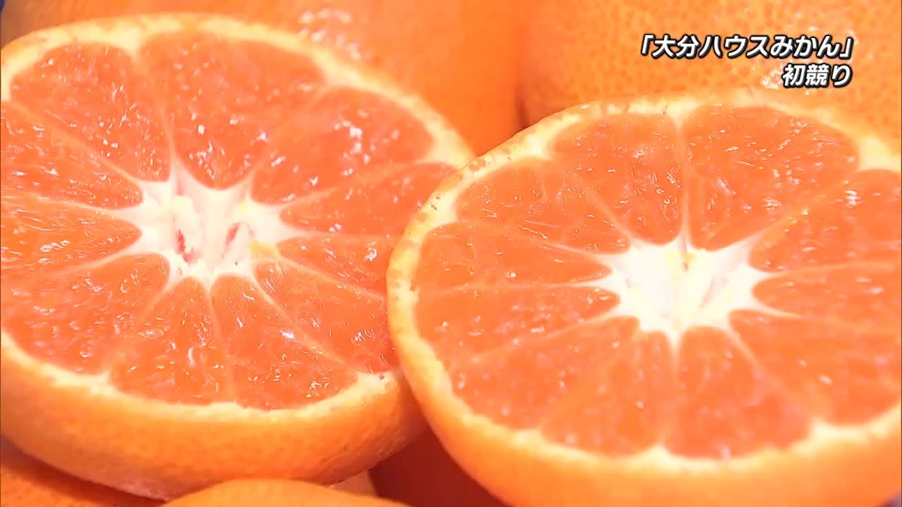実がぎっしり「大分ハウスみかん」の初競り 1キロ平均2520円例年並みの