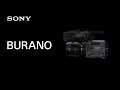 Introducing burano  sony  cinealta