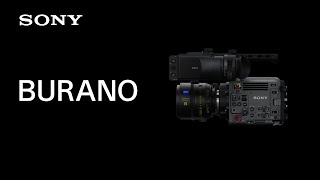 Introducing BURANO | Sony | CineAlta