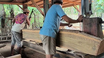 Shocking Discovery of Teak Logs Graveyard at Sawmill