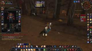 WOW HC Dungeons and grind. Stay awhile and listen!