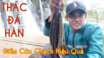 Câu Cá Chạch Ở Thác Đá Hàn,Chia Sẽ Tất Cả Điểm Câu Cá Quanh Khu Vực Thác
