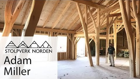 American Scribe rule | Adam Miller