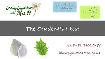 Student