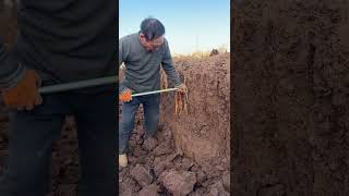 Alone In The Middle Of The Night Resimi