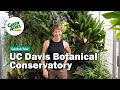 Tour of the uc davis botanical conservatory