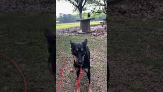 Twix freaked out