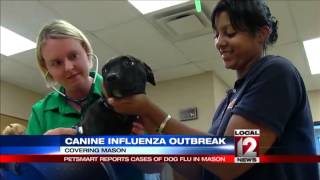 PetSmart reports cases of Dog Flu in Mason