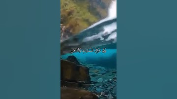 واتس اب قران كريم القارئ رعد الكردي من سورة (المنافقون)