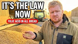 It Will Soon Be Illegal To Sell Bread Without This In It