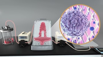 TFS HARVESTAINER MICROCARRIER SEPARATION SYSTEM