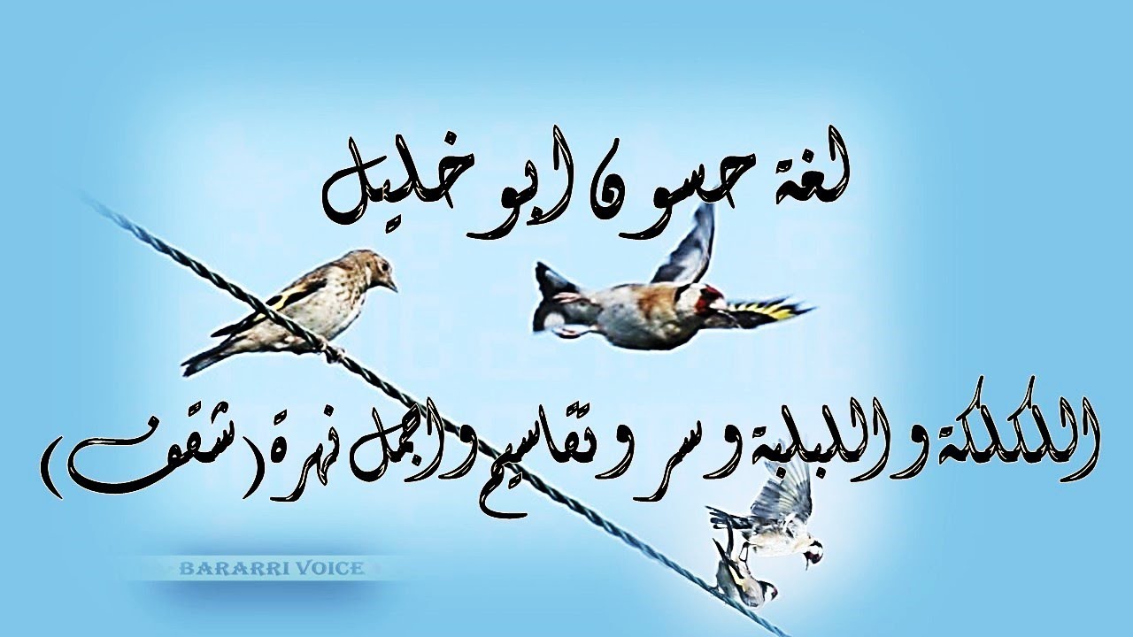 لغة حسون ابوخليل , لكلكة ولبلبة والسر وتقاسيم و اجمل نهرة (شقف).