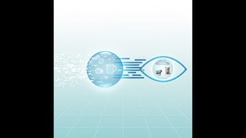 Hoe computer vision objecten herkent | Objectdetectie en -herkenning uitgelegd #computervision