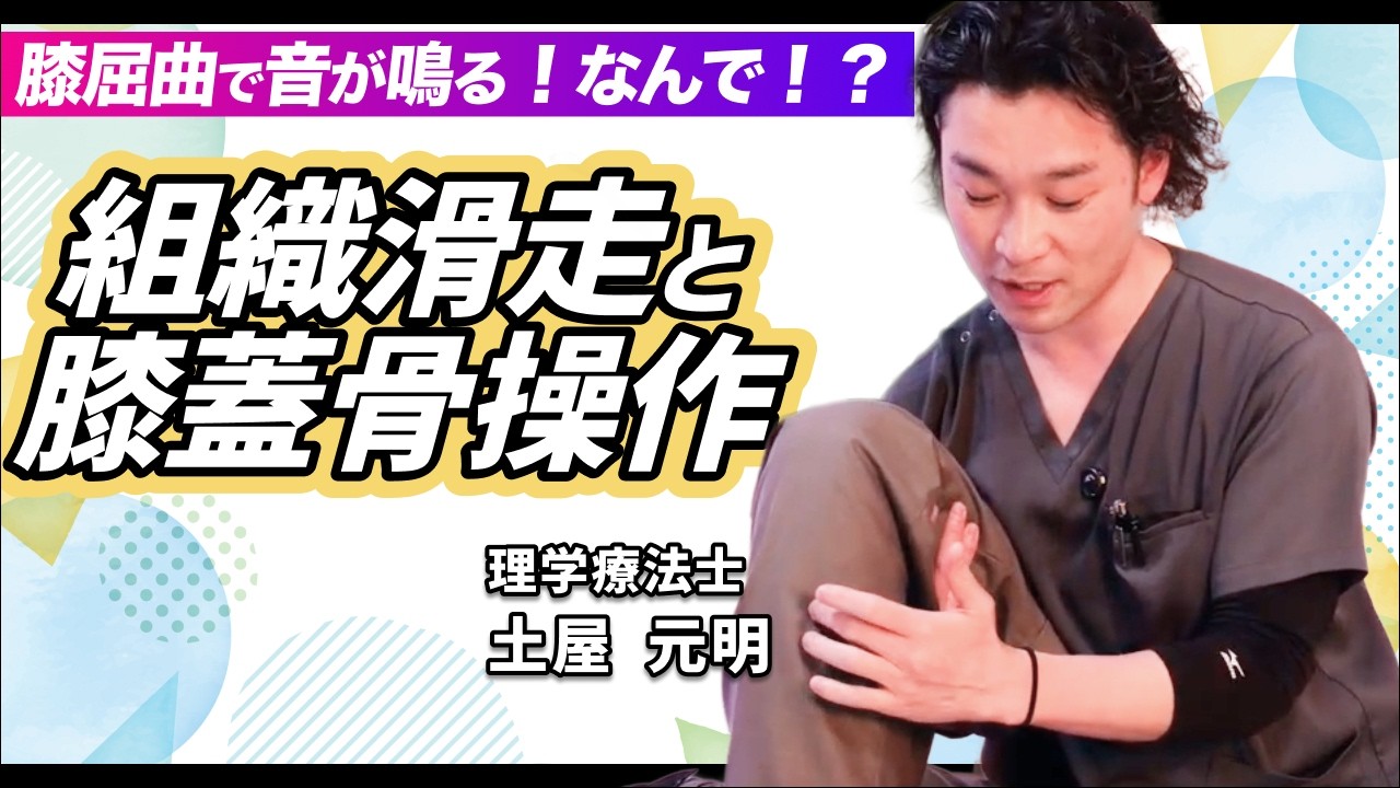 調圧法 DVD〜全ての不調を2点のコリから改善する〜 【公式通販】