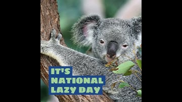 National Lazy Day Video Template (Editable)