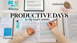 PRODUCTIVE DAY in my EXAM WEEKS | Study Vlog