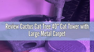 Review Cactus Cat Tree 40" Cat Tower with Large Metal Carpet Hammock, Cat Scratching Post for Indoor