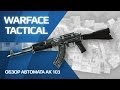 Обзор АК 103 (игра Warface)