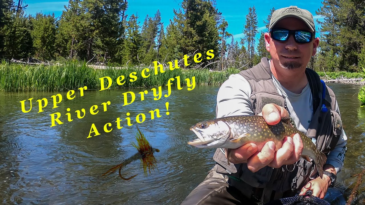 AMAZING Day of Fly Fishing on the Upper Deschutes River! (Lots of Trout