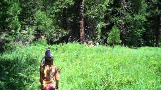 VID00185