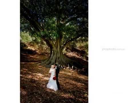 wedding-photographer-perth-|-all-saints-church-&-mercure-hotel,-perth---karen-+-brett