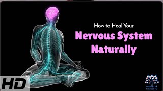 Natural Nervous System Healing Proven Techniques For Better Health