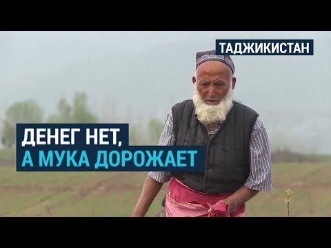 Таджикистан: мука как роскошь. Почему растут цены?
