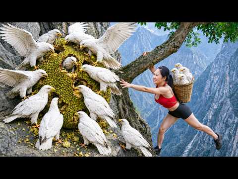 Hunting 1000+ White Gyrfalcon Nesting inside a Jackfruit & Go to Market Sell | homelander life ep8