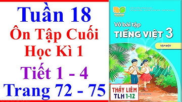 Vở Bài Tập Tiếng Việt Lớp 3 Tuần 18 | Ôn Tập Cuối Học Kì 1 Trang 72 - 75 Kết Nối Tri Thức Tiết 1 - 4
