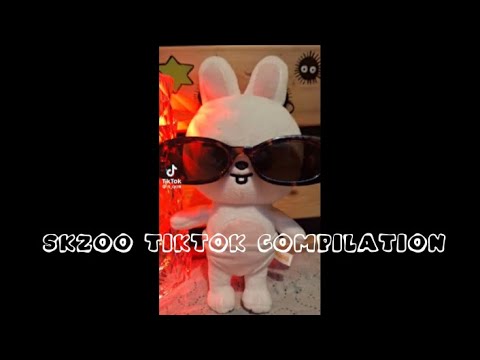 Skzoo Tiktok Compilation Part6