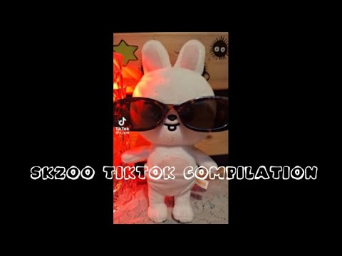 Skzoo TikTok compilation part6 💋✨🔥