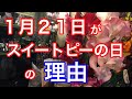 【ライブ】なぜ１月２１日がスイートピーの日なのか？花屋が解説してみた！＠吉祥寺の花屋「花心」