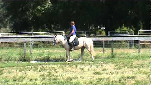 Leo's first ride off from the lunge line, walking.