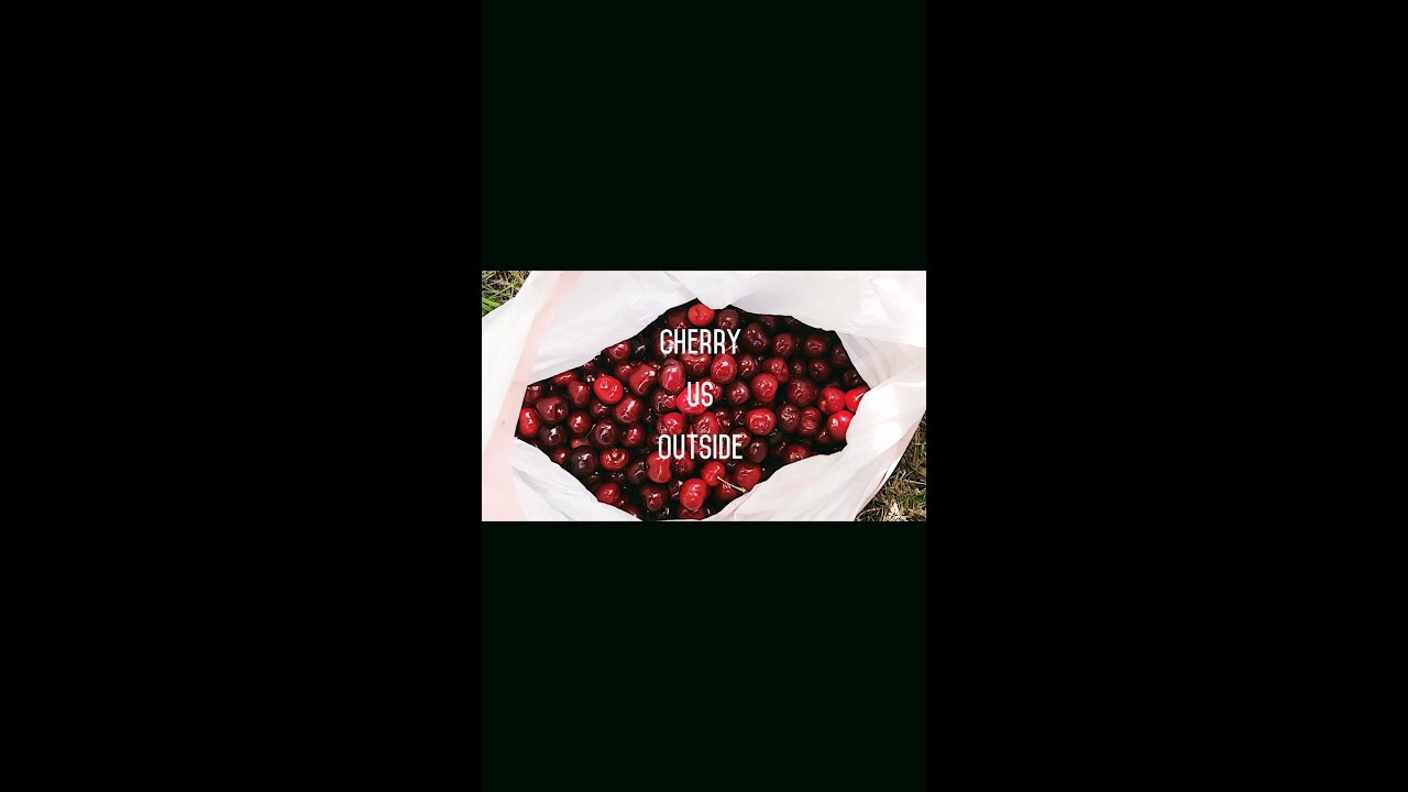 Cherry PickUp at Bay Area with some of my close friends❤️