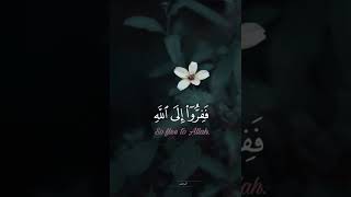 سورة المائدة الشيخ ياسر سلامة Yasser Salama Surah AL Ma'idah