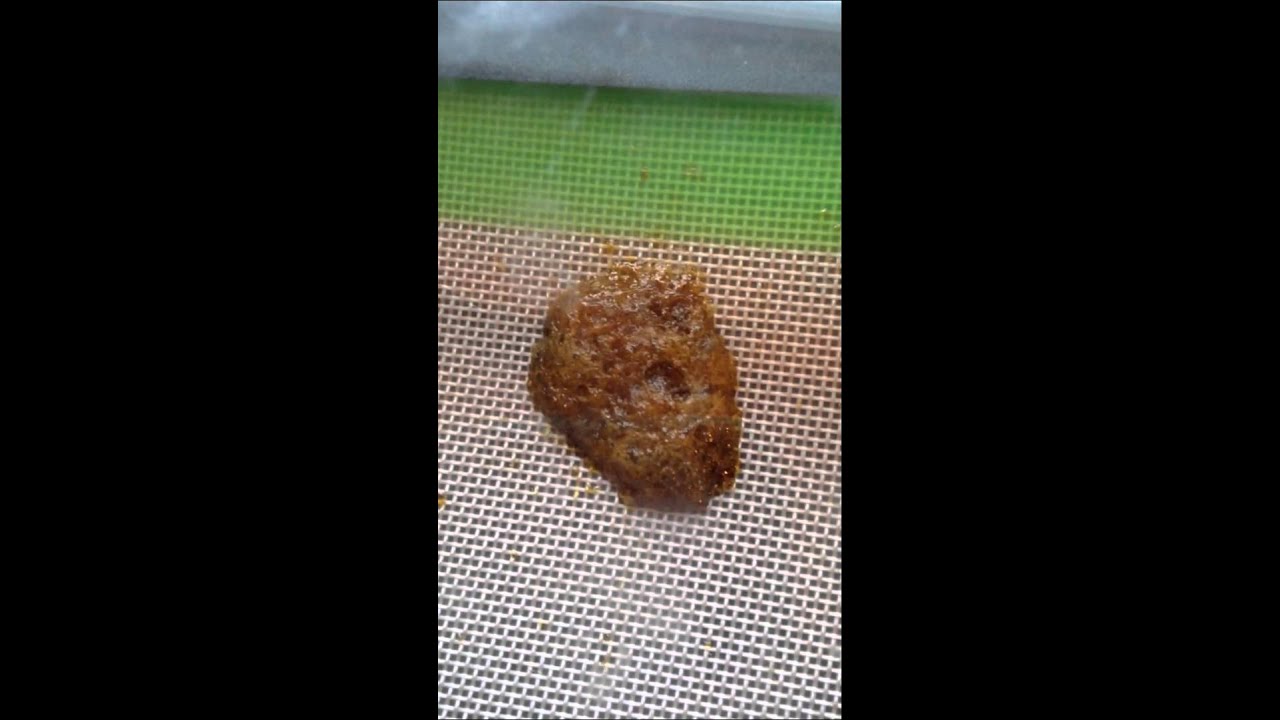 Bho purging. YouTube