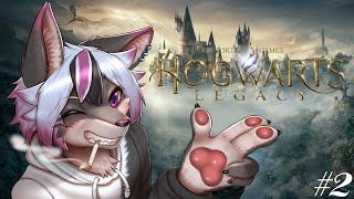 【ゲーム】ホグワーツレガシー#2【大神レント / #Vtuber】#ケモV #ケモノVTuber #ホグワーツレガシー #HogwartsLegacy #ホグワーツ