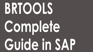 SAP BRTools Guide | How to use BR Tools in SAP | BR Tools | BR Tools Complete Guide | brtools