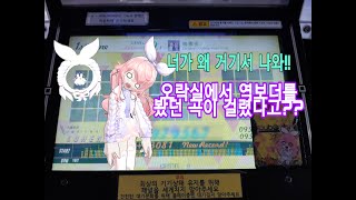 [jubeat plus/Daily Challenge](Score Best!!) 梅雪夜(EXT) SSS 980k
