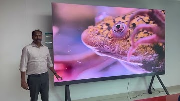 🎥 COB LED Display Explained | What is COB Technology? 💡