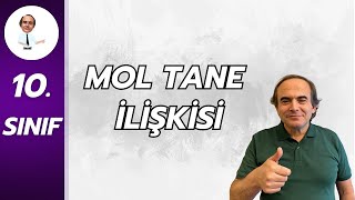 61 Mol Kaç Tane Atom? Mol Tane İlişkisini Görselle Öğren 10. Sınıf Kimya