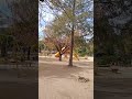 Plaza Manuel Belgrano, Valle Hermoso, Punilla, Córdoba 🇦🇷#vallehermoso