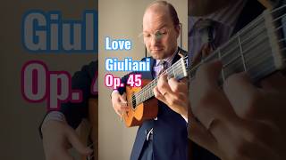 La Folia Op 45 - Giuliani