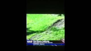 Reporter laughs at moron