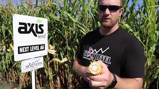 New Axis Seed Variety 100 Day — EXP 10021 | Next Level Ag Solutions