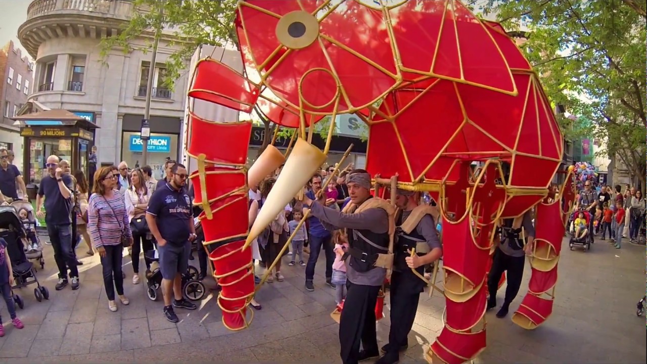HATHI - Centre de Titelles de Lleida